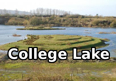 College Lake